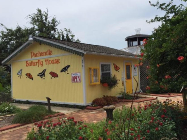 Panhandle Butterfly House