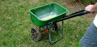 lawn