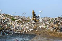 landfill