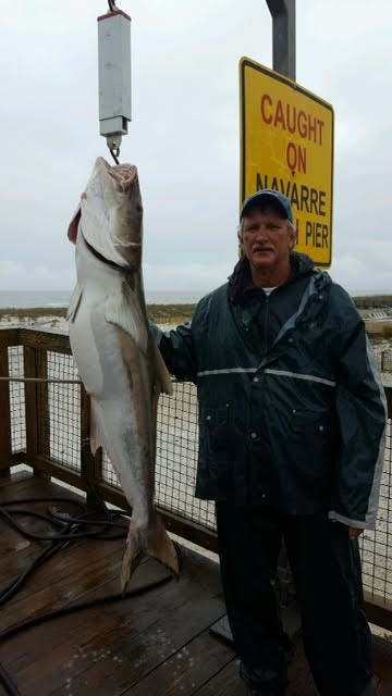 49 lb