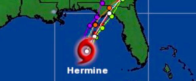 Hermine