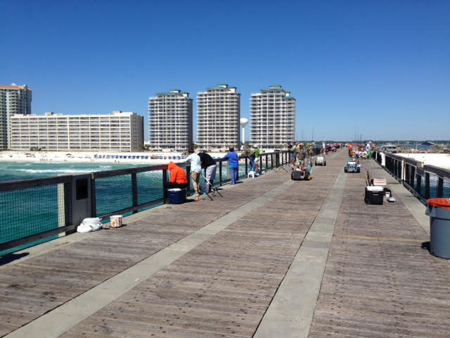 11/27 NAVARRE PIER FISHING REPORT