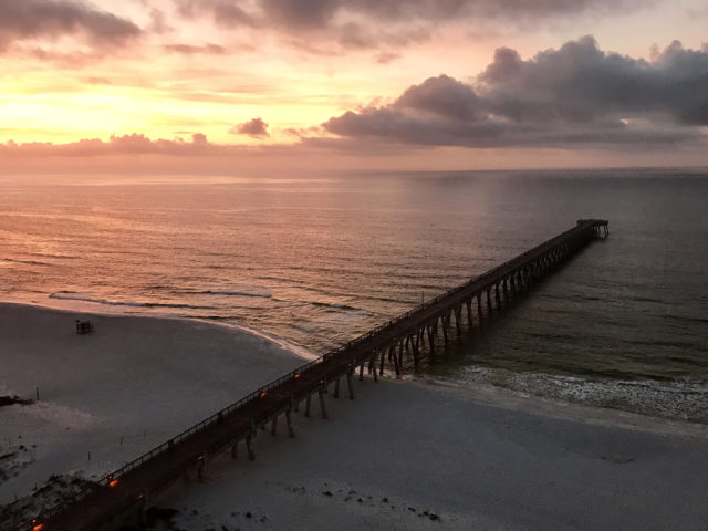 pier 1/19/17
