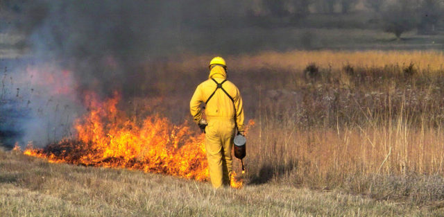 FWC plans prescribed burn