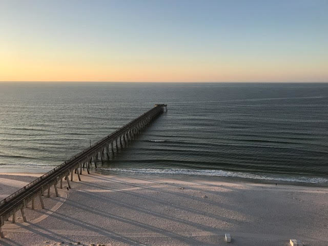 2/20/19