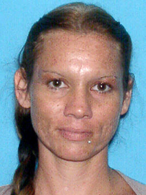 Mary Michelle Craig Rice