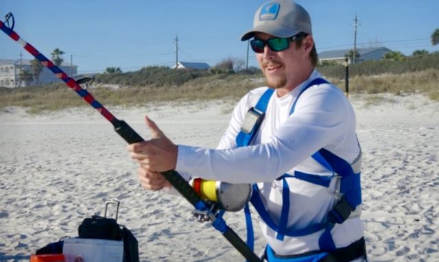 New shark fishing requirements go into effect July 1 • Navarre Newspaper