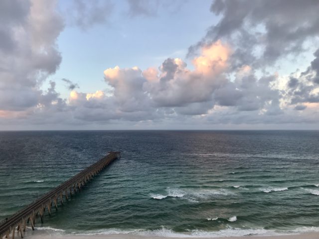 IMG_8917