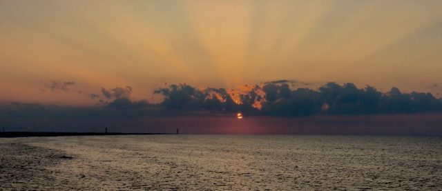 IMG_3195