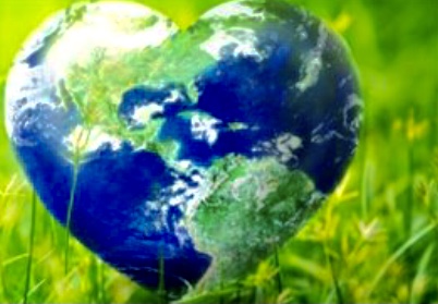 IMG_2411