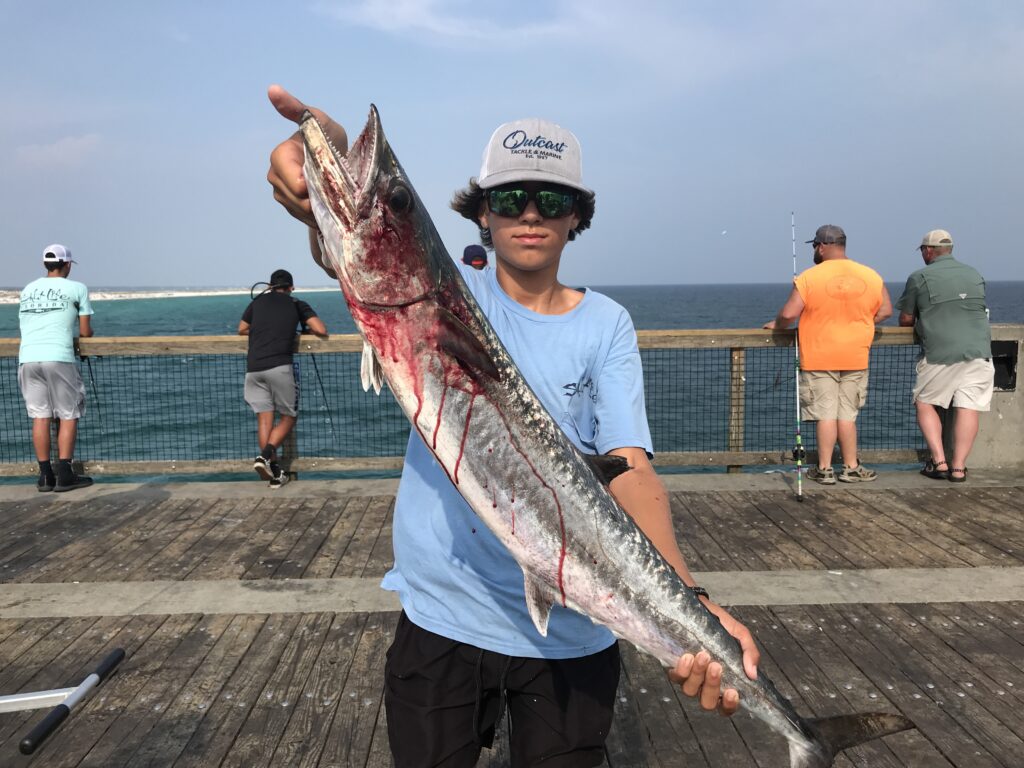 $1400 Mackerel Accident  Navarre Beach Fishing Pier 