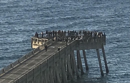 pier Feb