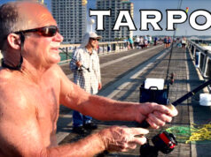 NEW VIDEO NAVARRE PIER TARPON