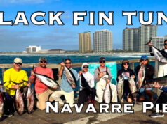 NEW BLACK FIN TUNA VIDEO