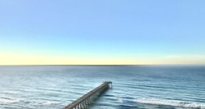 NAVARRE FISHING REPORT WEDNESDAY 1-31-24