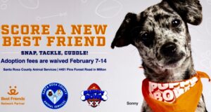 Adoption fees waived at Santa Rosa County Animal Services
