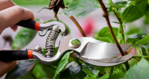 Pruning Demonstration Free Event
