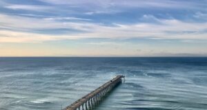 NAVARRE FISHING REPORT FRIDAY 4-4-25