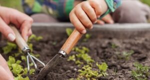 Santa Rosa County Master Gardeners
