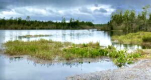 Commissioner James Calkins Spearheads Over 400 Acres of Land Conservation in Santa Rosa County