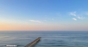 NAVARRE FISHING REPORT THURSDAY 5-16_24