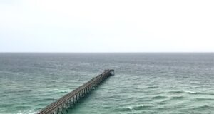 NAVARRE FISHING REPORT FRIDAY 5-17-24