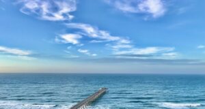 NAVARRE FISHING REPORT THURSDAY 6-20-24