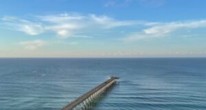 NAVARRE FISHING REPORT THURSDAY 7-11-24