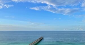 NAVARRE FISHING REPORT FRIDAY 7-26-24