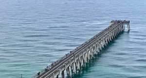 NAVARRE FISHING REPORT SATURDAY 9-14-24