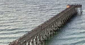 NAVARRE FISHING REPORT FRIDAY 10-11-24