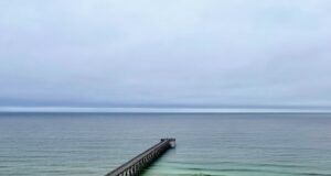 NAVARRE FISHING REPORT THURSDAY 11-7-24