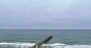NAVARRE FISHING REPORT FRIDAY 11-8-24