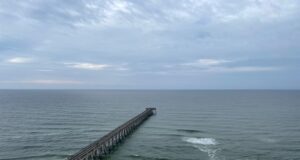 NAVARRE FISHING REPORT TUESDAY 11-12-24