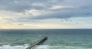 NAVARRE FISHING REPORT WEDNESDAY 11-13-24