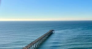 NAVARRE FISHING REPORT FRIDAY 11-15-24