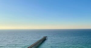 NAVARRE FISHING REPORT SATURDAY 11-16-24