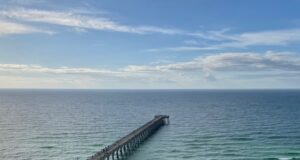 NAVARRE FISHING REPORT SUNDAY 11-17-24