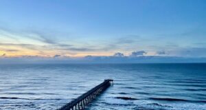 NAVARRE FISHING REPORT WEDNESDAY 11-20-24