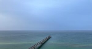 NAVARRE FISHING REPORT FRIDAY 11-29-24