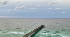 NAVARRE FISHING REPORT THURSDAY 12-5-24