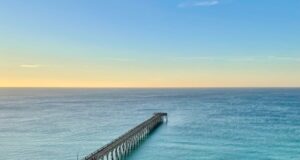 NAVARRE FISHING REPORT FRIDAY 11-6-24
