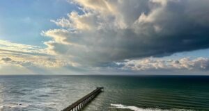 NAVARRE FISHING REPORT WEDNESDAY 12-11-24