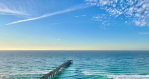 NAVARRE FISHING REPORT FRIDAY 12-13-24