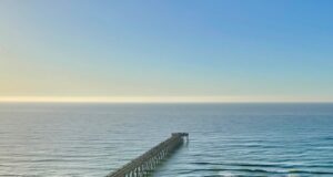NAVARRE FISHING REPORT TUESDAY 12-17-24