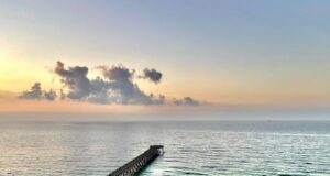 NAVARRE FISHING REPORT TUESDAY 12-31-24