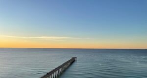 NAVARRE FISHING REPORT WEDNESDAY 1-1-25