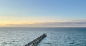 NAVARRE FISHING REPORT SUNDAY 1-12-25