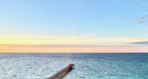 NAVARRE FISHING REPORT SUNDAY 1-26-25