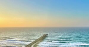 NAVARRE FISHING REPORT FRIDAY 1-31-25